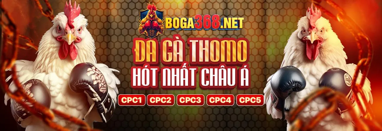 Đá gà trực tuyến sôi động tại 6666.mb